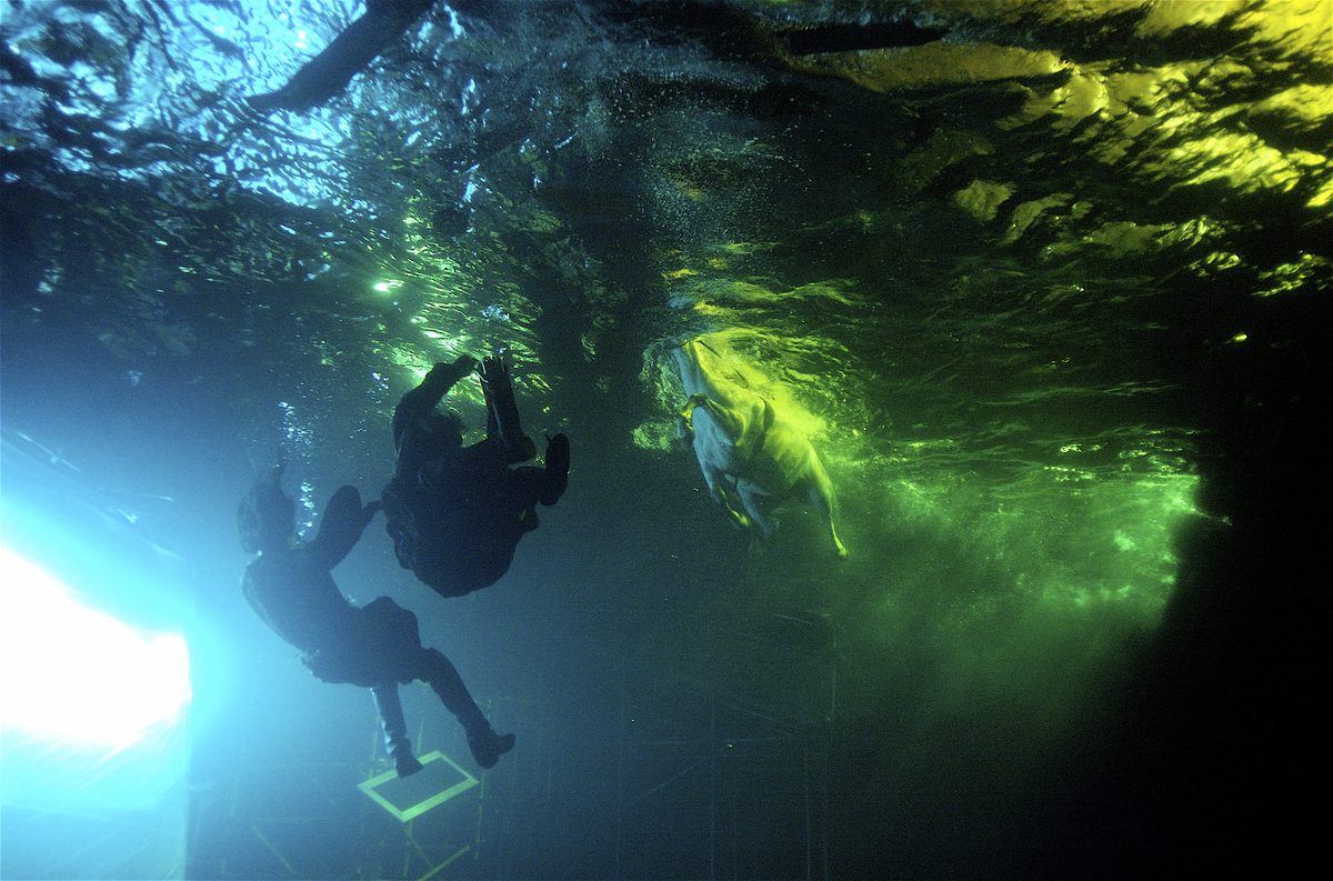 Diving Services UK &mdash; behind the scenes