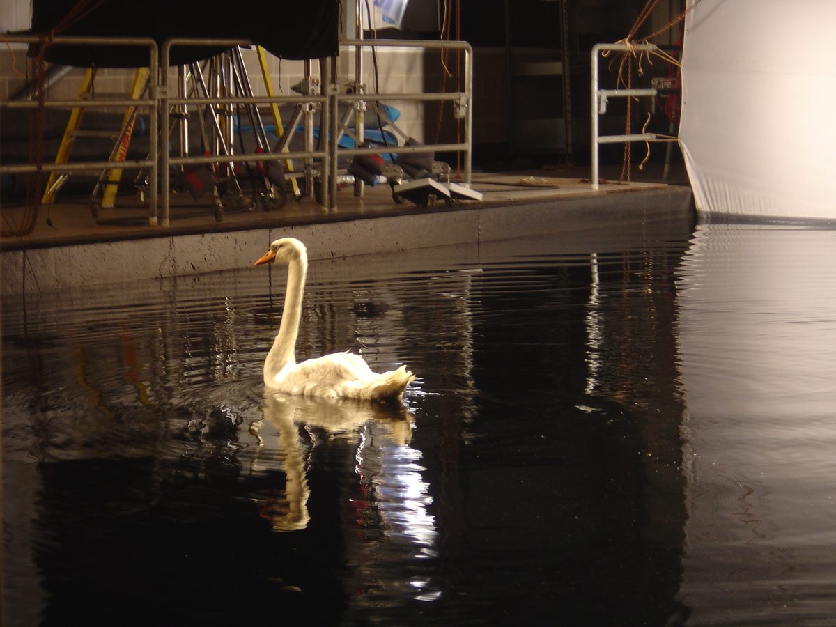 Diving Services UK &mdash; behind the scenes