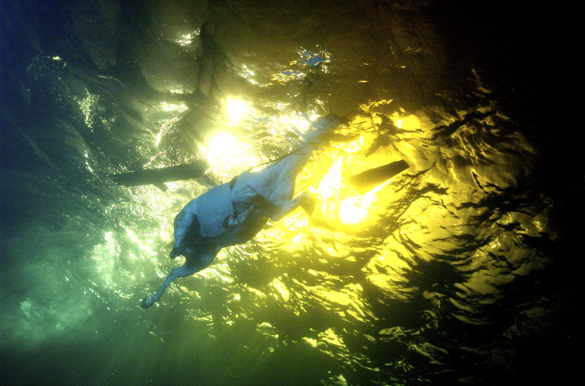 Diving Services UK &mdash; behind the scenes